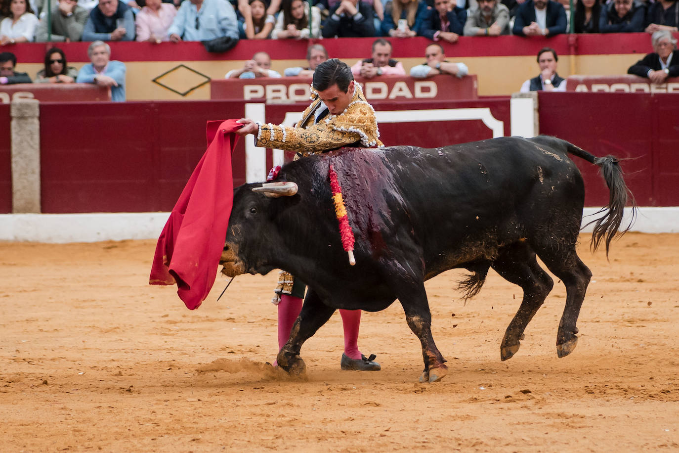 Las mejores imágenes de la corrida de Emilio de Justo, Talavante y Juan Ortega en Almendralejo (I)