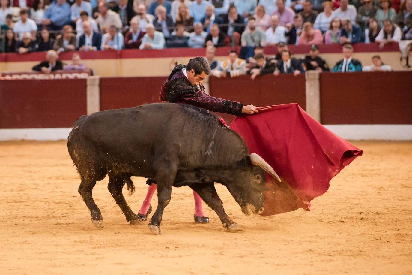 Las mejores imágenes de la corrida de Emilio de Justo, Talavante y Juan Ortega en Almendralejo (II)