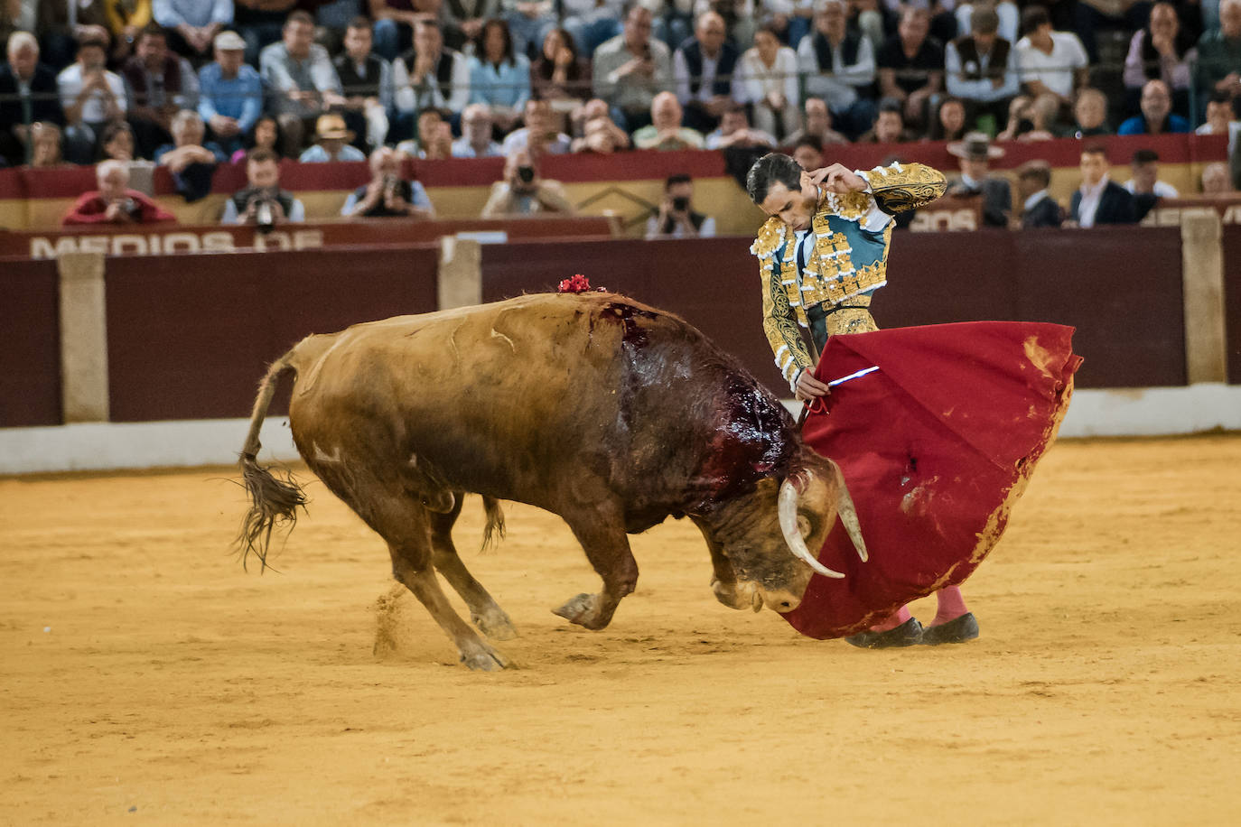 Las mejores imágenes de la corrida de Emilio de Justo, Talavante y Juan Ortega en Almendralejo (II)