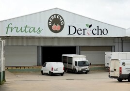 Instalaciones de Frutas Derecho en el polígono de Plasencia.