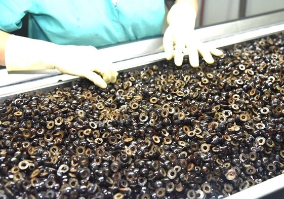 La aceituna negra se exporta, principalmente, en rodajas y en formato de gran tamaño.