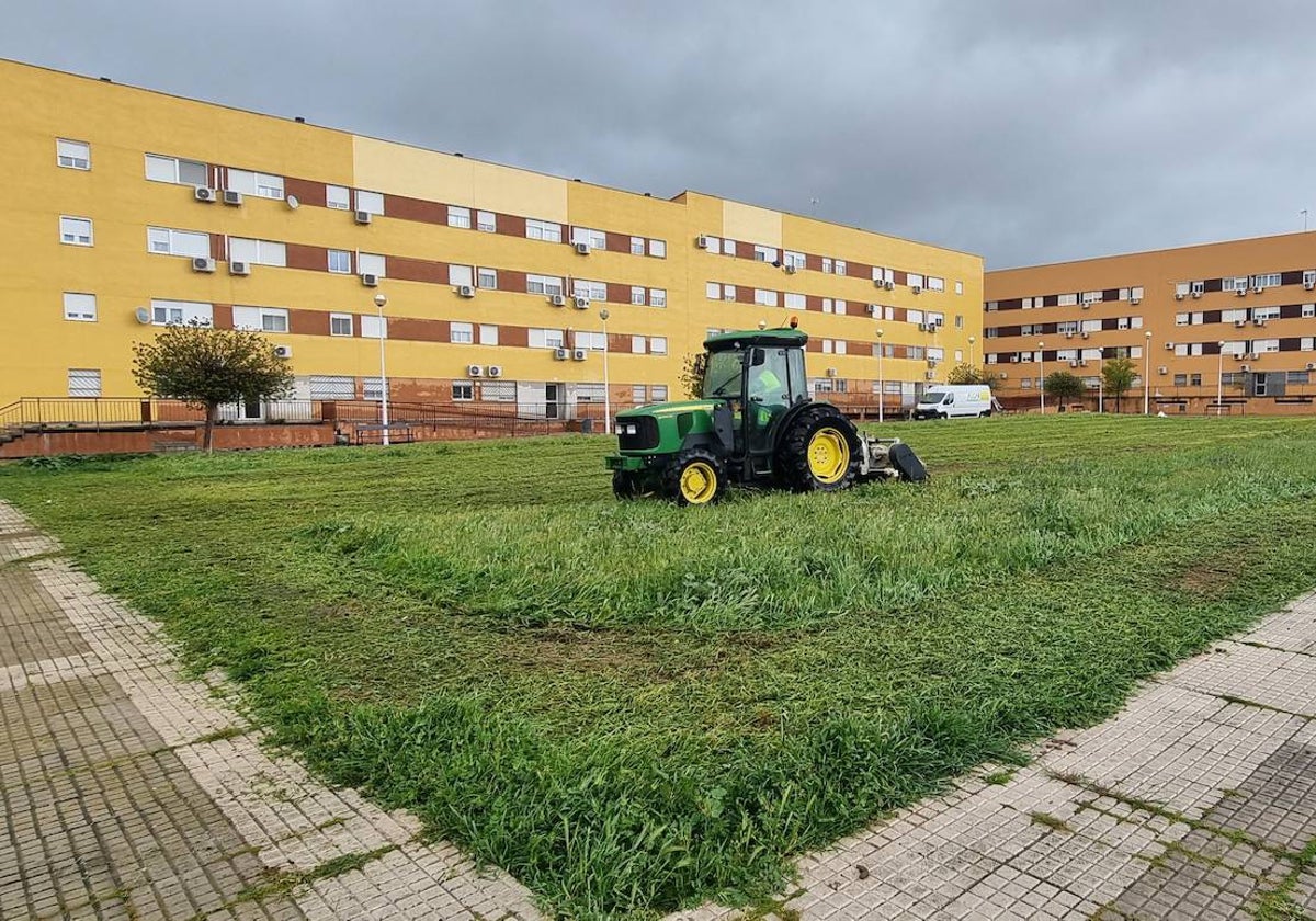 Parcela cedida por el Ayuntamiento de Mérida para viviendas de alquiler asequible.