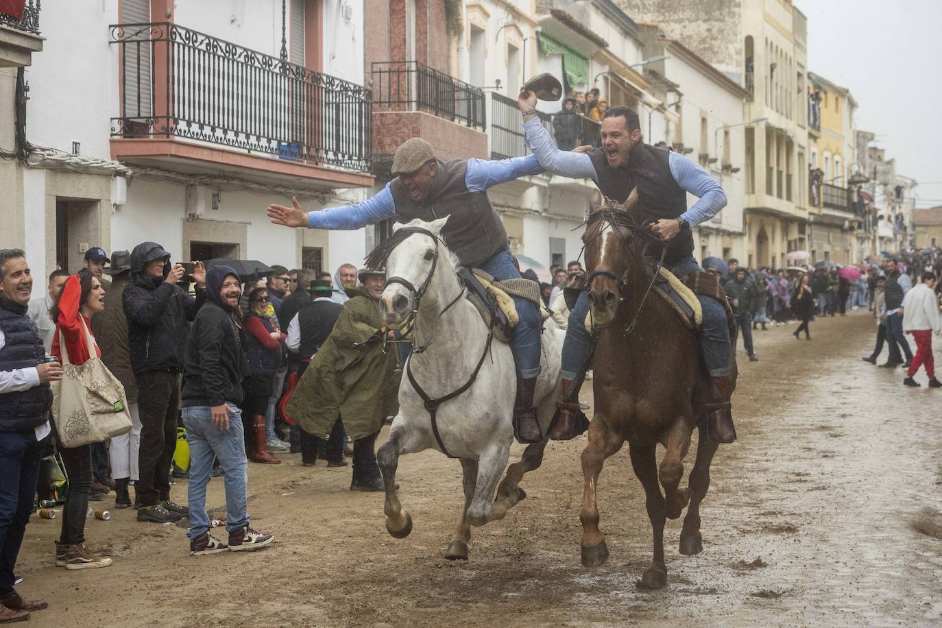 Las mejores imágenes de las carreras de caballo de Arroyo de la Luz (II)