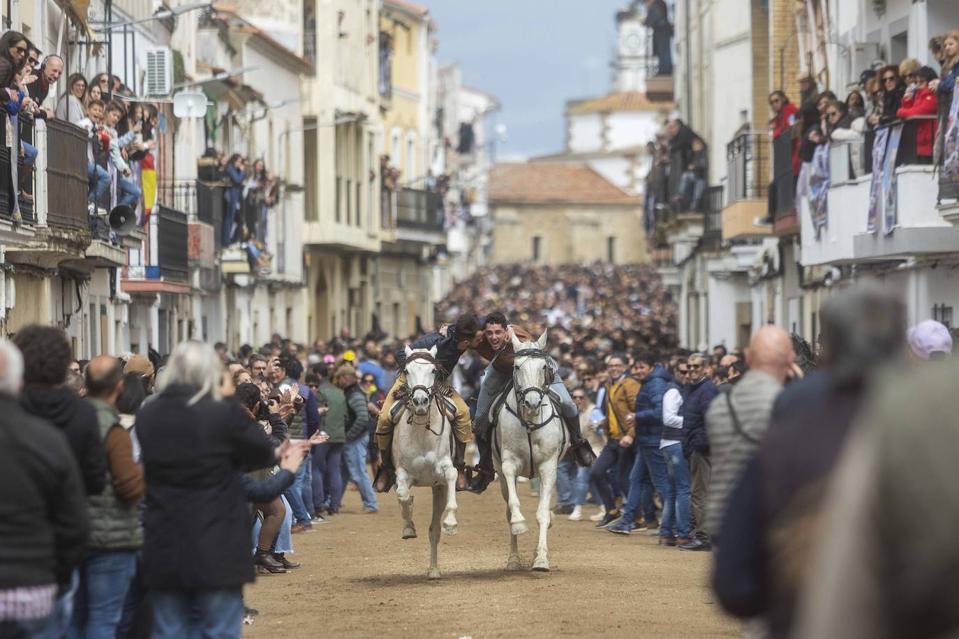 Las mejores imágenes de las carreras de caballo de Arroyo de la Luz (II)