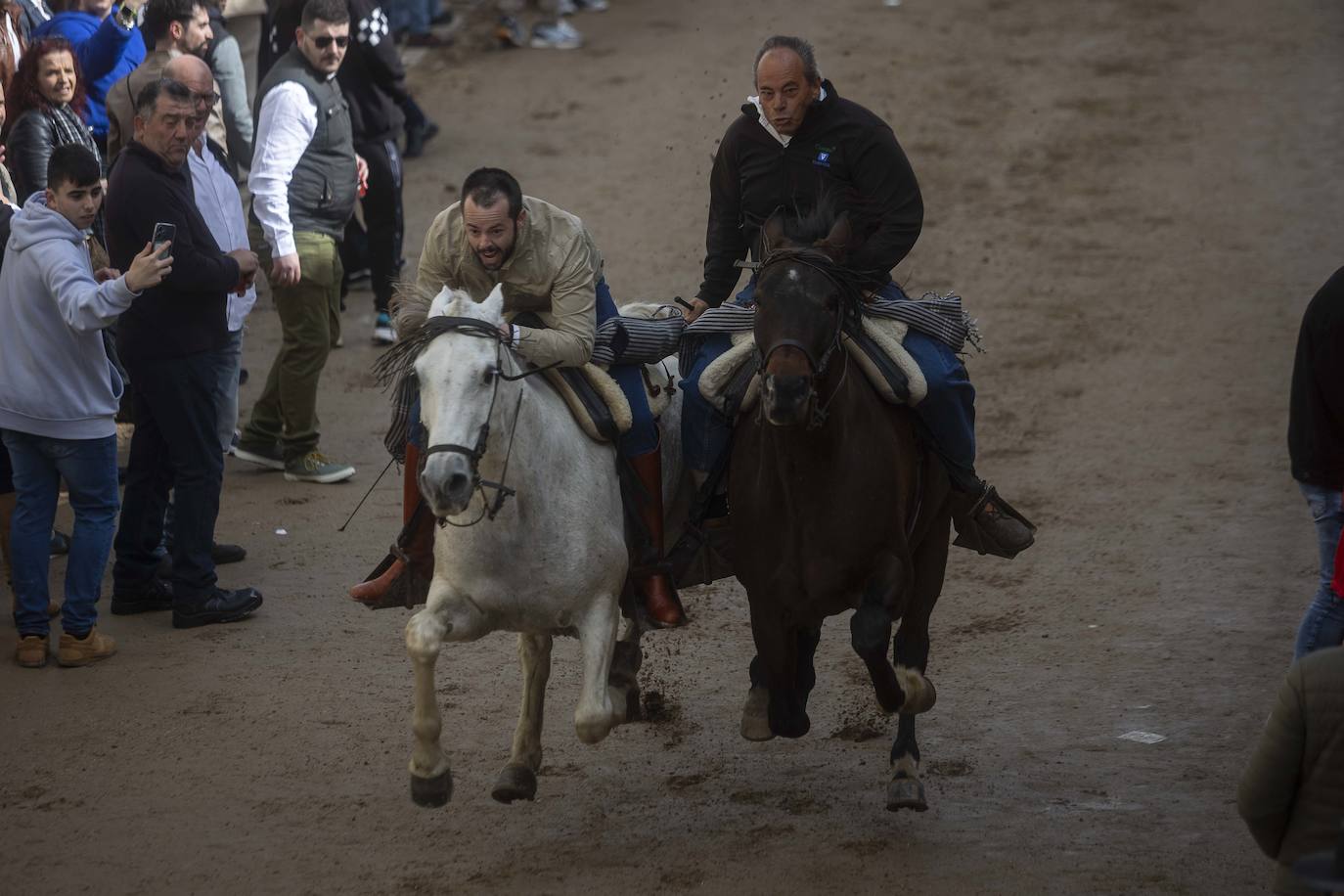 Las mejores imágenes de las carreras de caballo de Arroyo de la Luz (II)