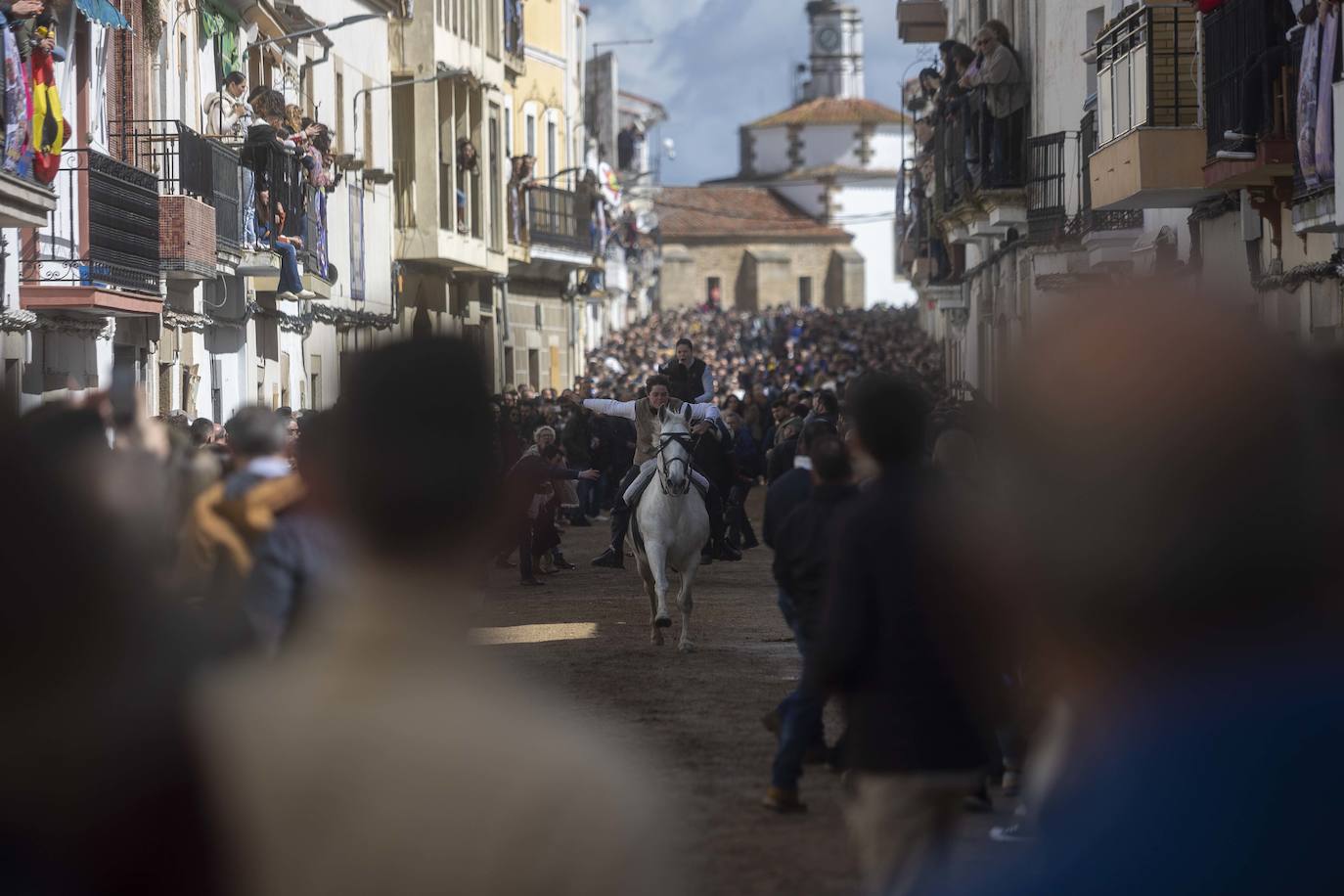 Las mejores imágenes de las carreras de caballo de Arroyo de la Luz