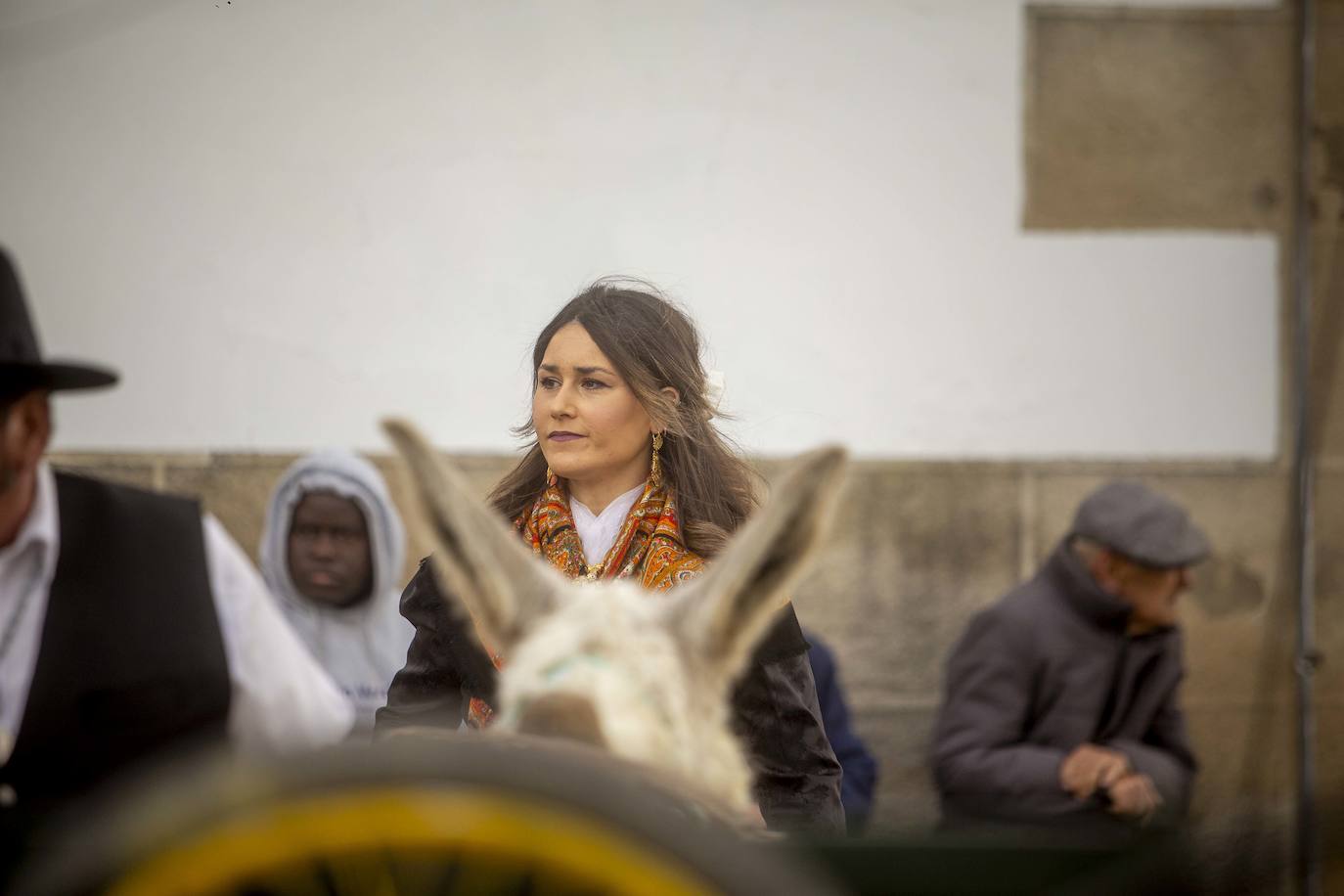 Las mejores imágenes de las carreras de caballo de Arroyo de la Luz