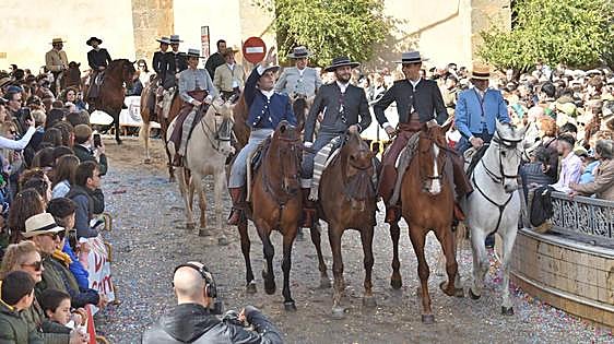 Fotos: Elegancia y porte en el desfile de caballerías de Piedraescrita