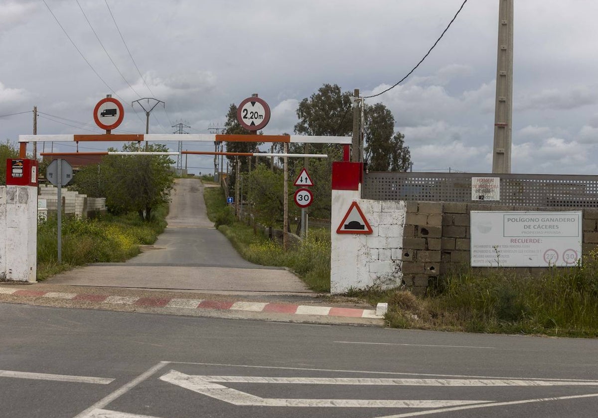 Acceso al Polígono Ganadero de Cáceres. Los hechos ocurrieron al final de la calle de la imagen.