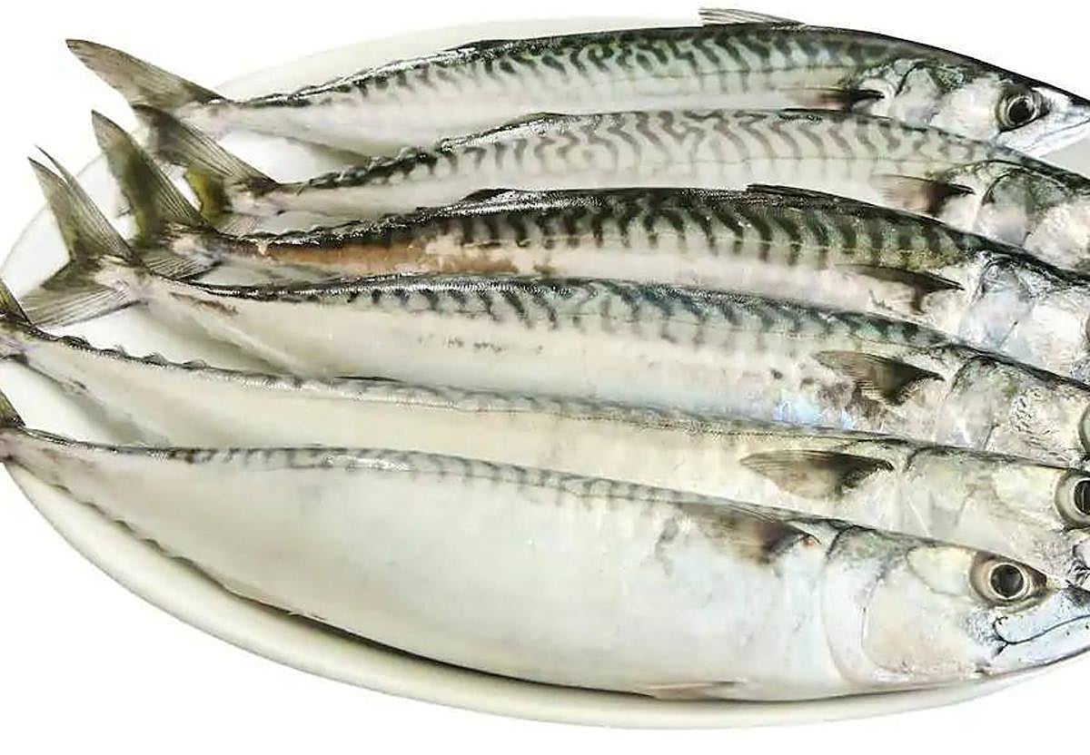 Y dicen que el pescado es caro