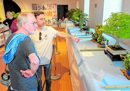 Exposición de bonsais en La Galera de Badajoz.