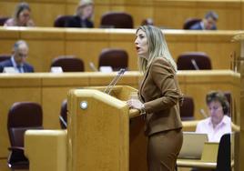 Guardiola durante su comparecencia en la sesión de la Comisión General de Comunidades Autónomas en el Senado.