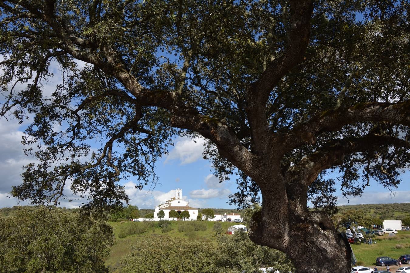La lluvia no aguó la Romería de la Virgen de los Remedios