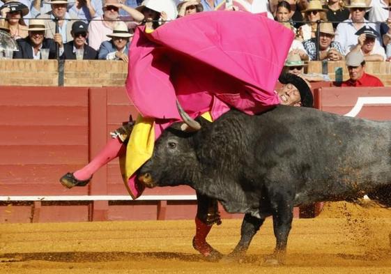 El diestro Manuel Escribano sufre una cogida en el primero de su lote durante la corrida celebrada hoy sábado en la plaza de toros La Maestranza de Sevilla.