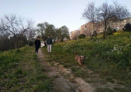 Vista de la zona donde se prevé actuar para ampliar el actual aparcamiento.