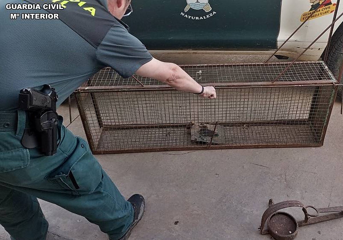 Jaula trampa y cepo encontrados en la finca