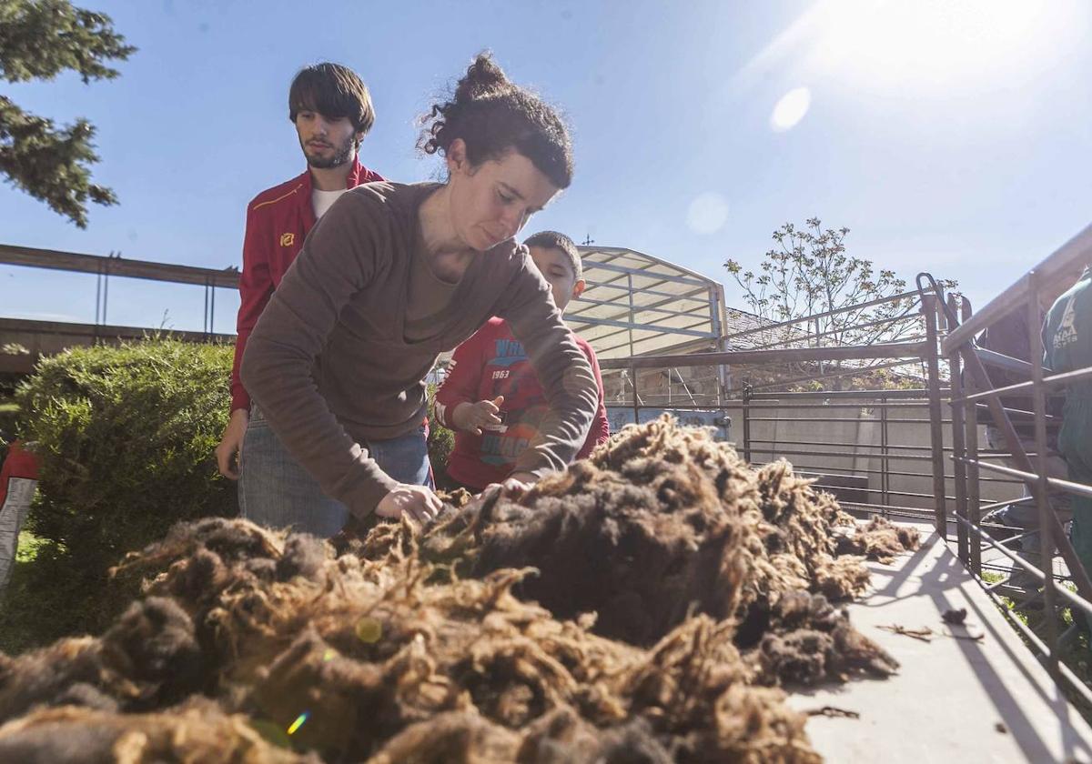 Un equipo «ultramoderno» para analizar la fibra del ovino