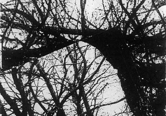 Alto riesgo de incendios forestales