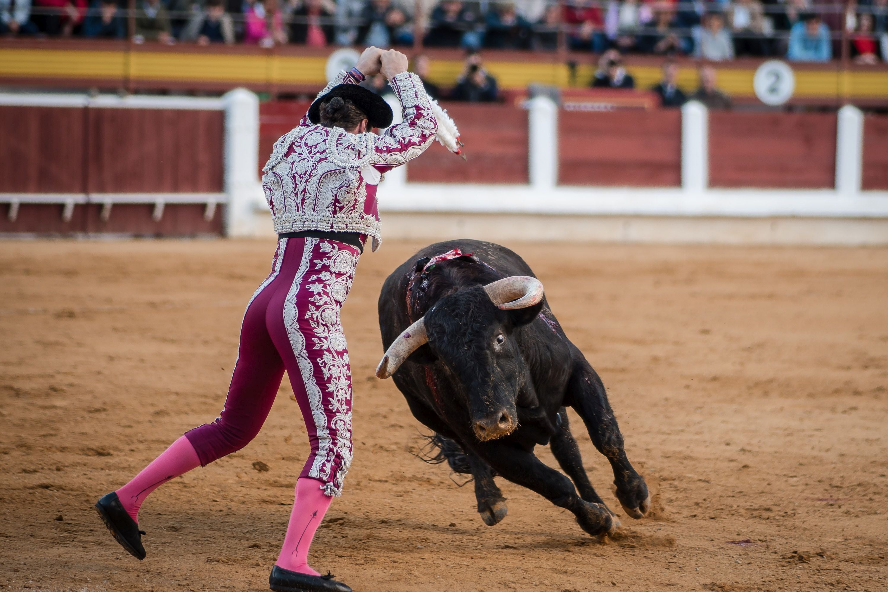 La corrida de primavera de Mérida, en imágenes (I)