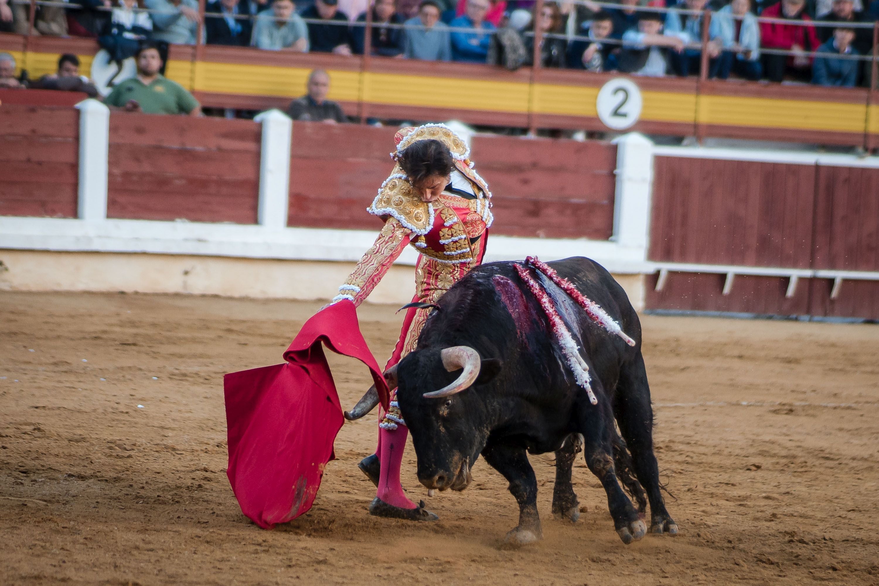 La corrida de primavera de Mérida, en imágenes (I)