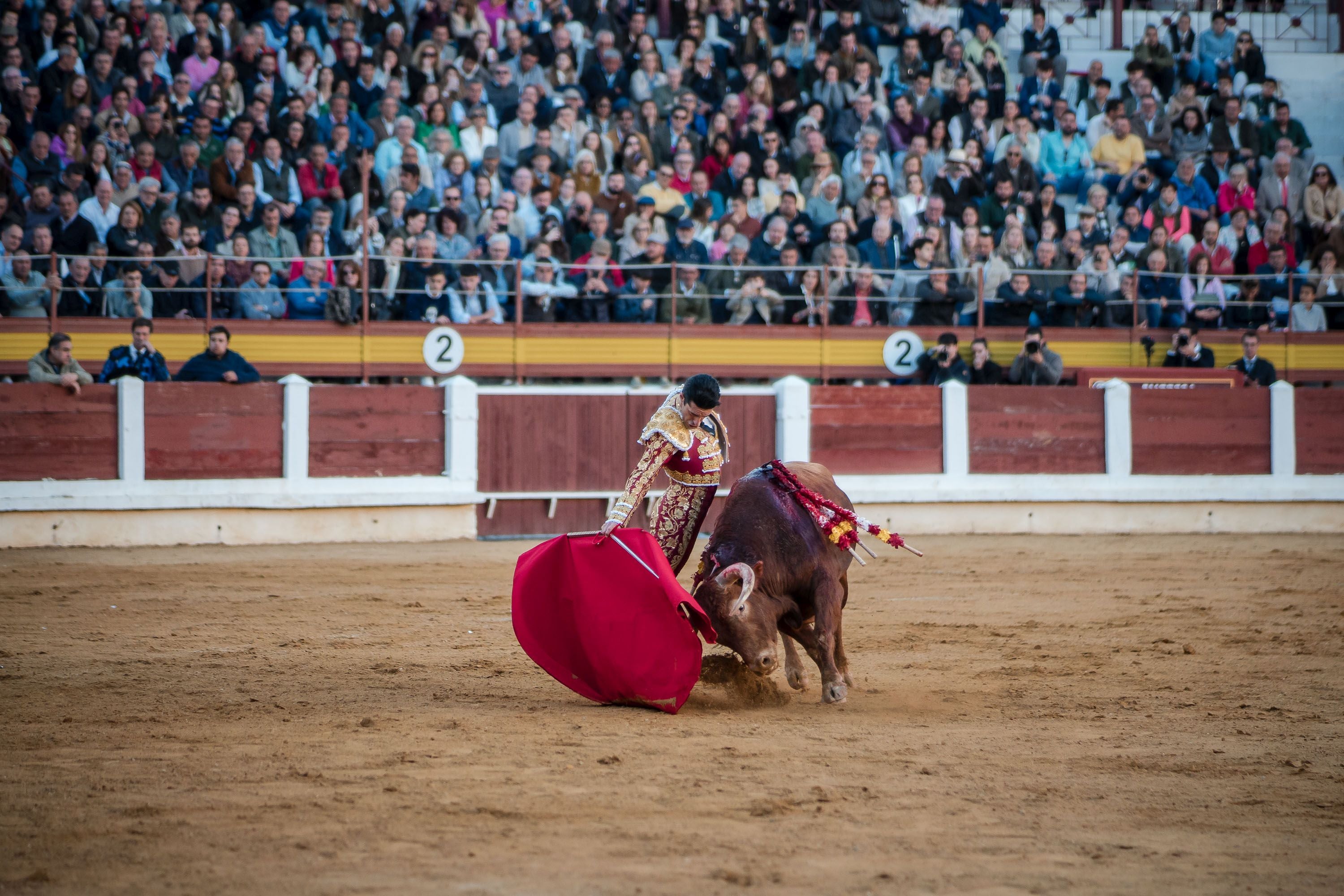 La corrida de primavera de Mérida, en imágenes (II)