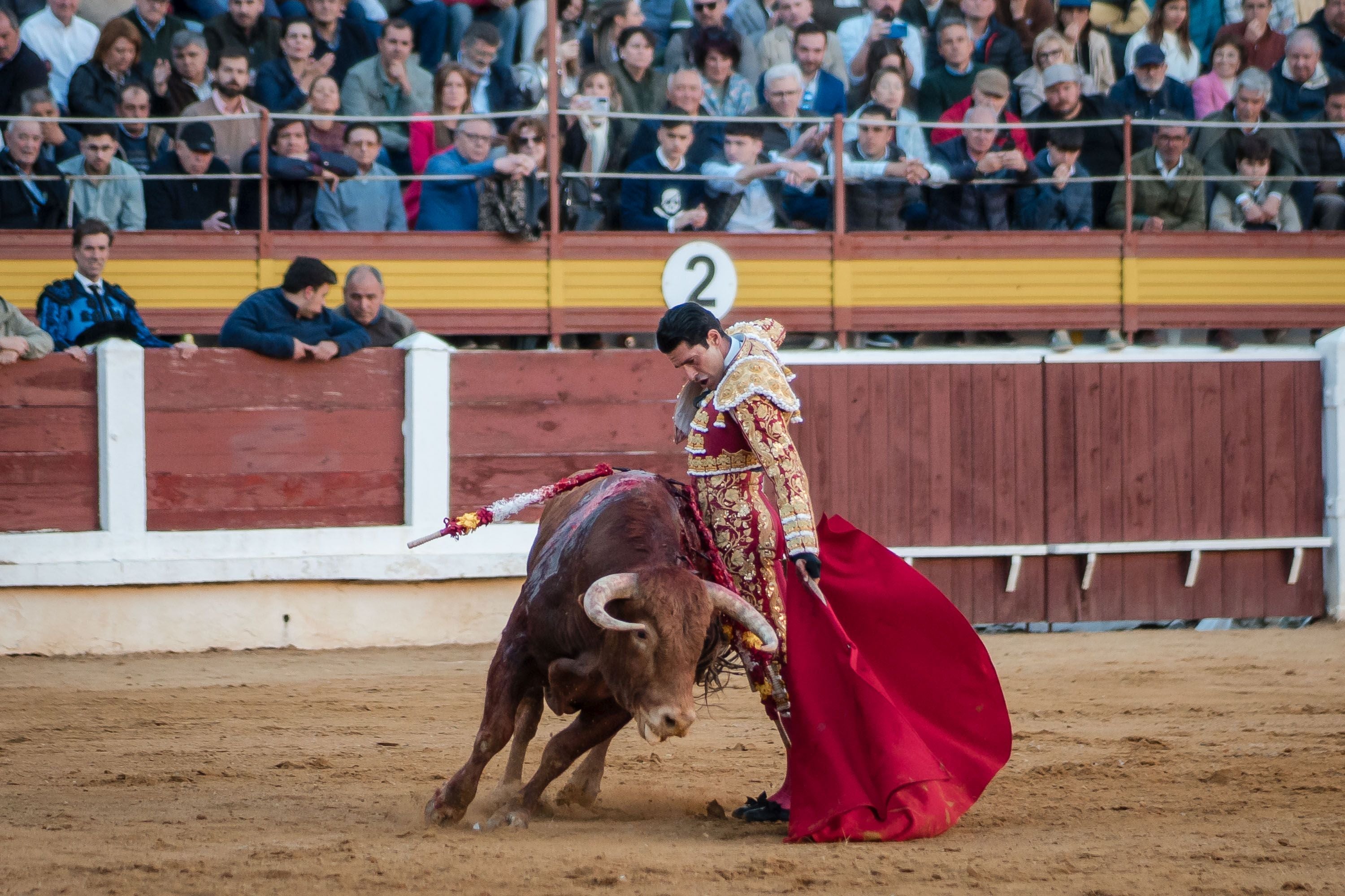 La corrida de primavera de Mérida, en imágenes (II)