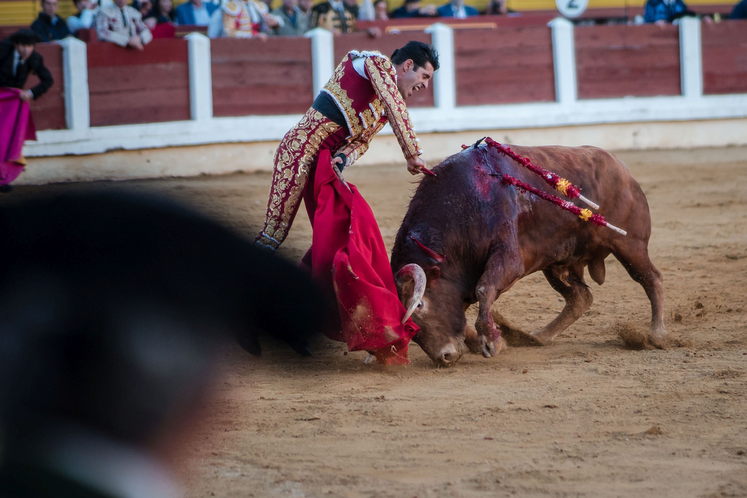 La corrida de primavera de Mérida, en imágenes (II)