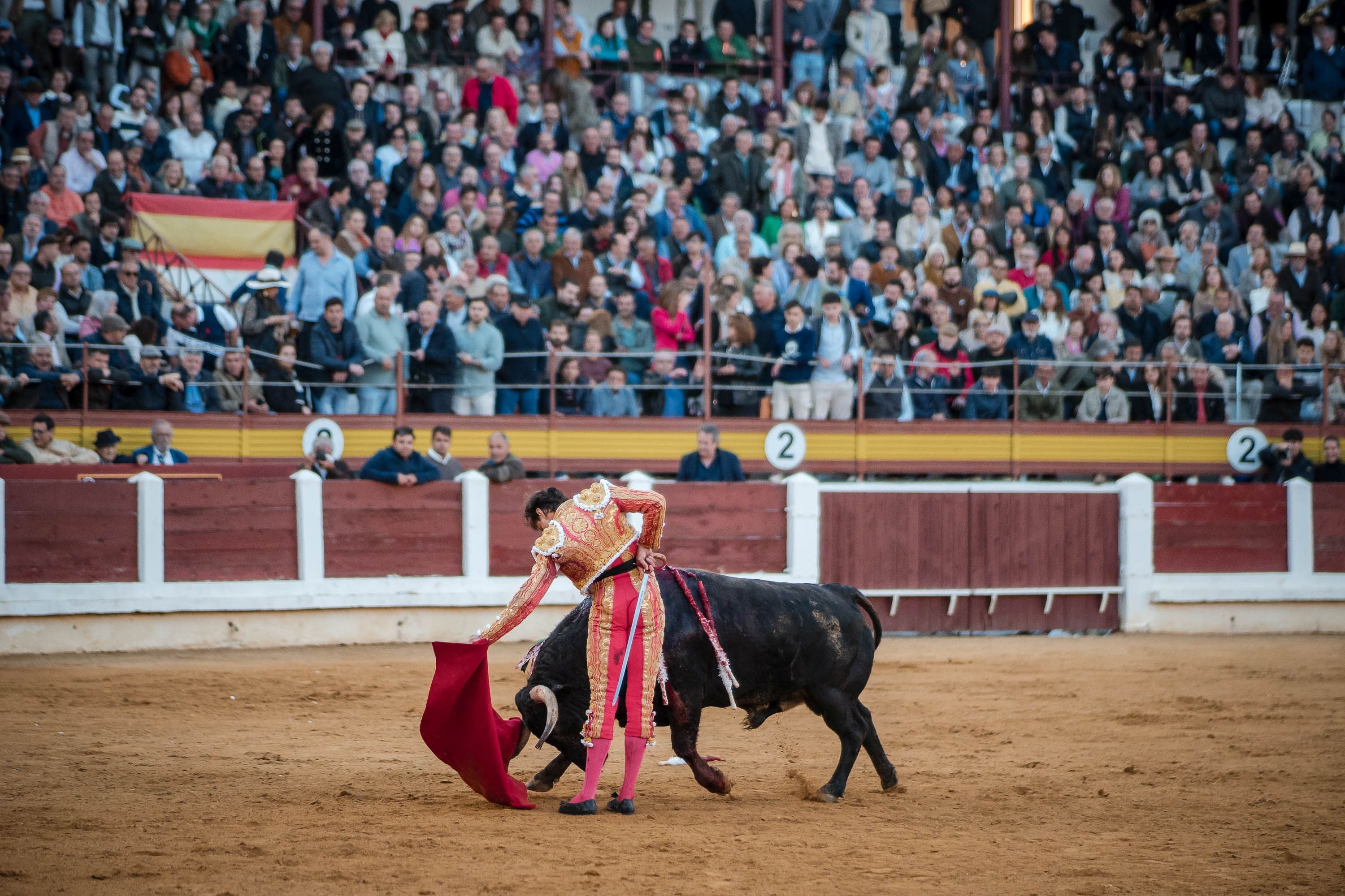 La corrida de primavera de Mérida, en imágenes (II)