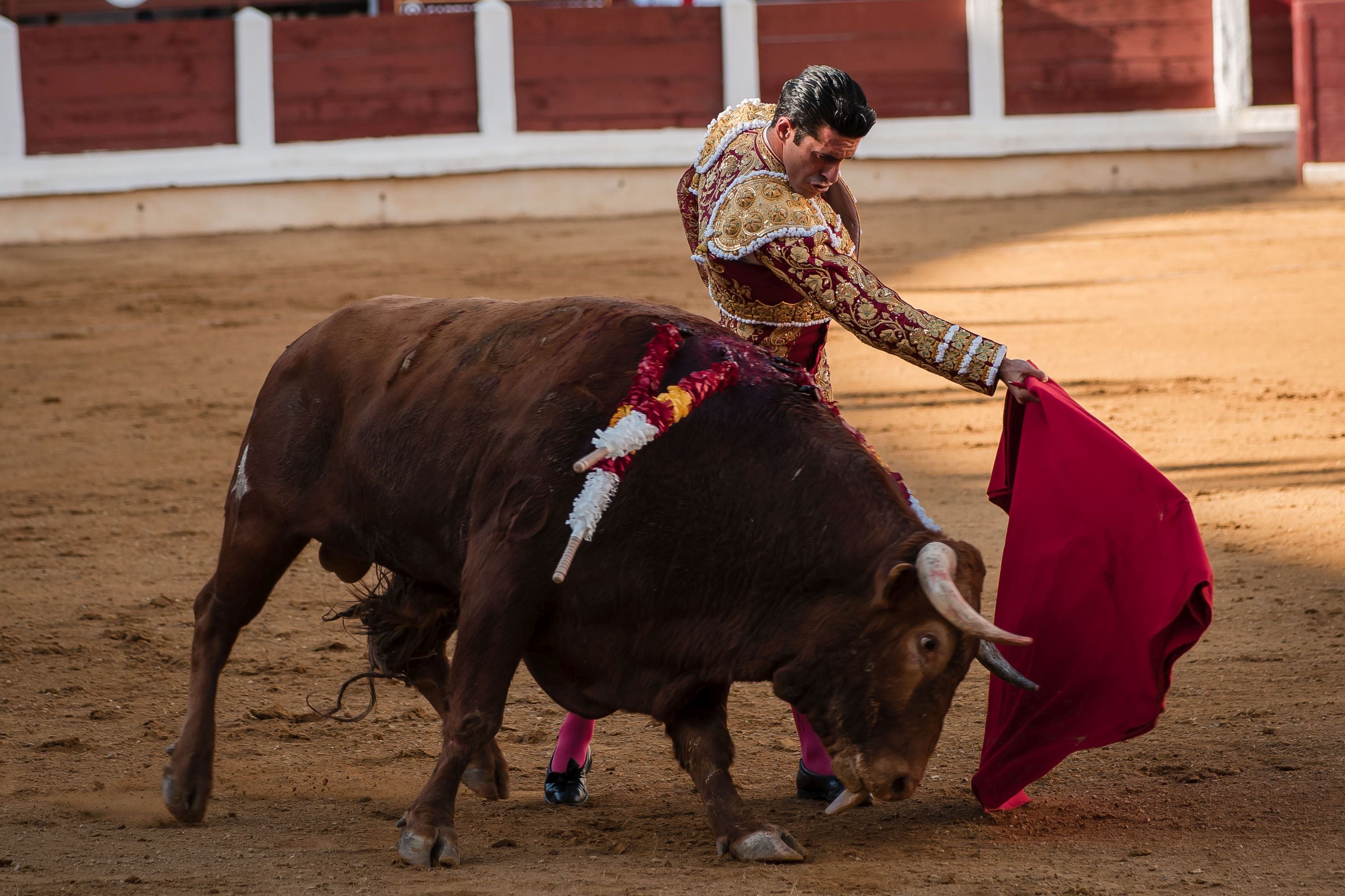 La corrida de primavera de Mérida, en imágenes (I)