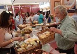 La Feria del Queso de Trujillo, una de las citas extremeñas más esperadas por los turófilos.