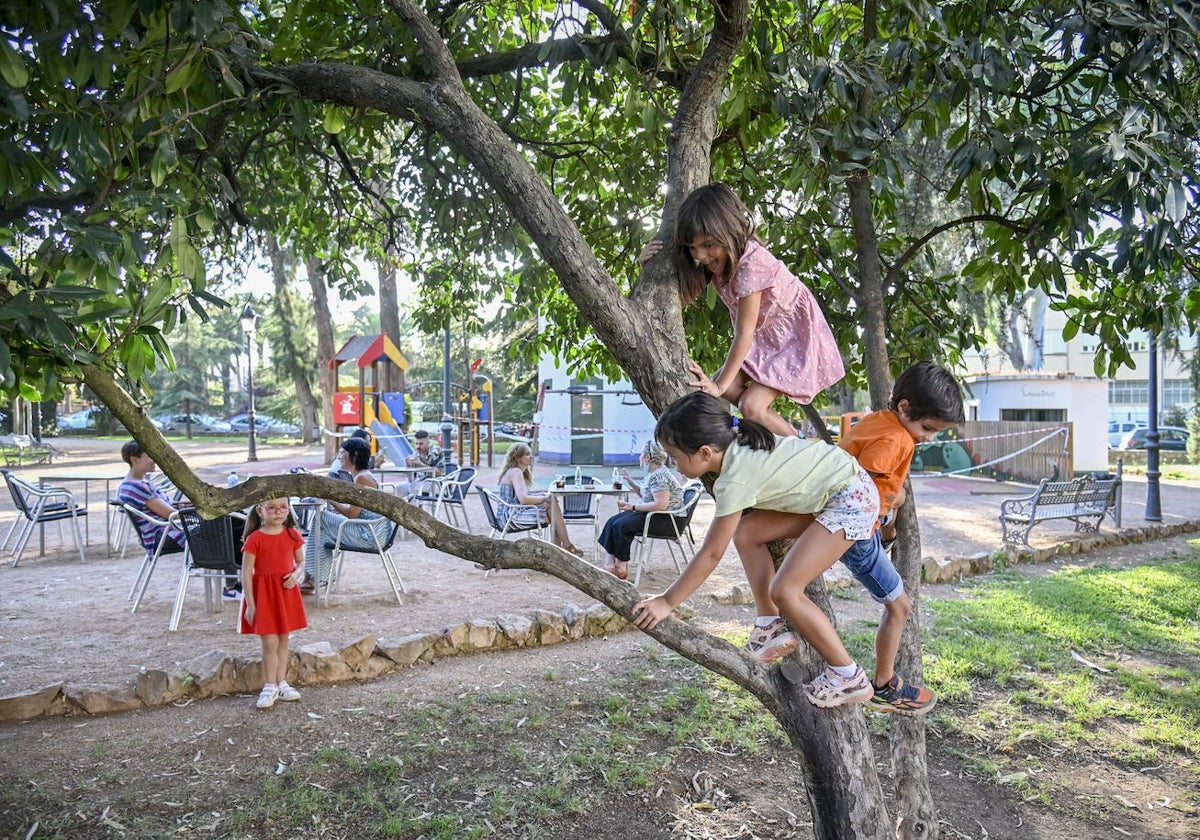 Niños jugando en un parque en una ciudad de la región.