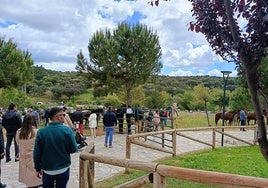 Asistentes del Rodeo acercándose a ver los caballos en el Coto de Zahínos