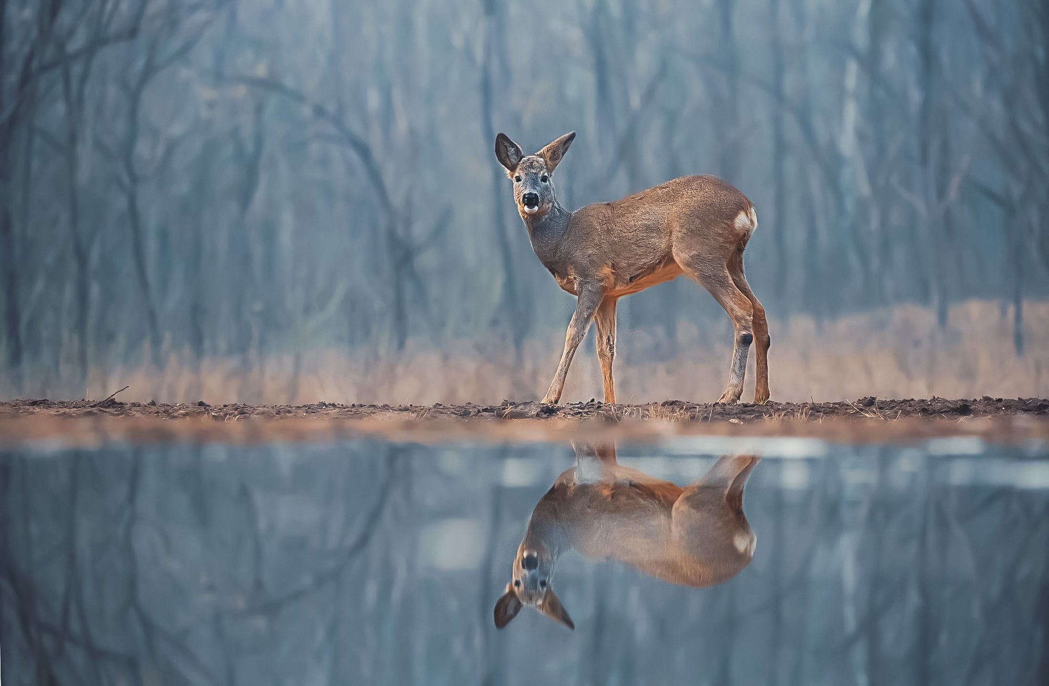 Algunas de las fotos de Merce Rodríguez por el mundo