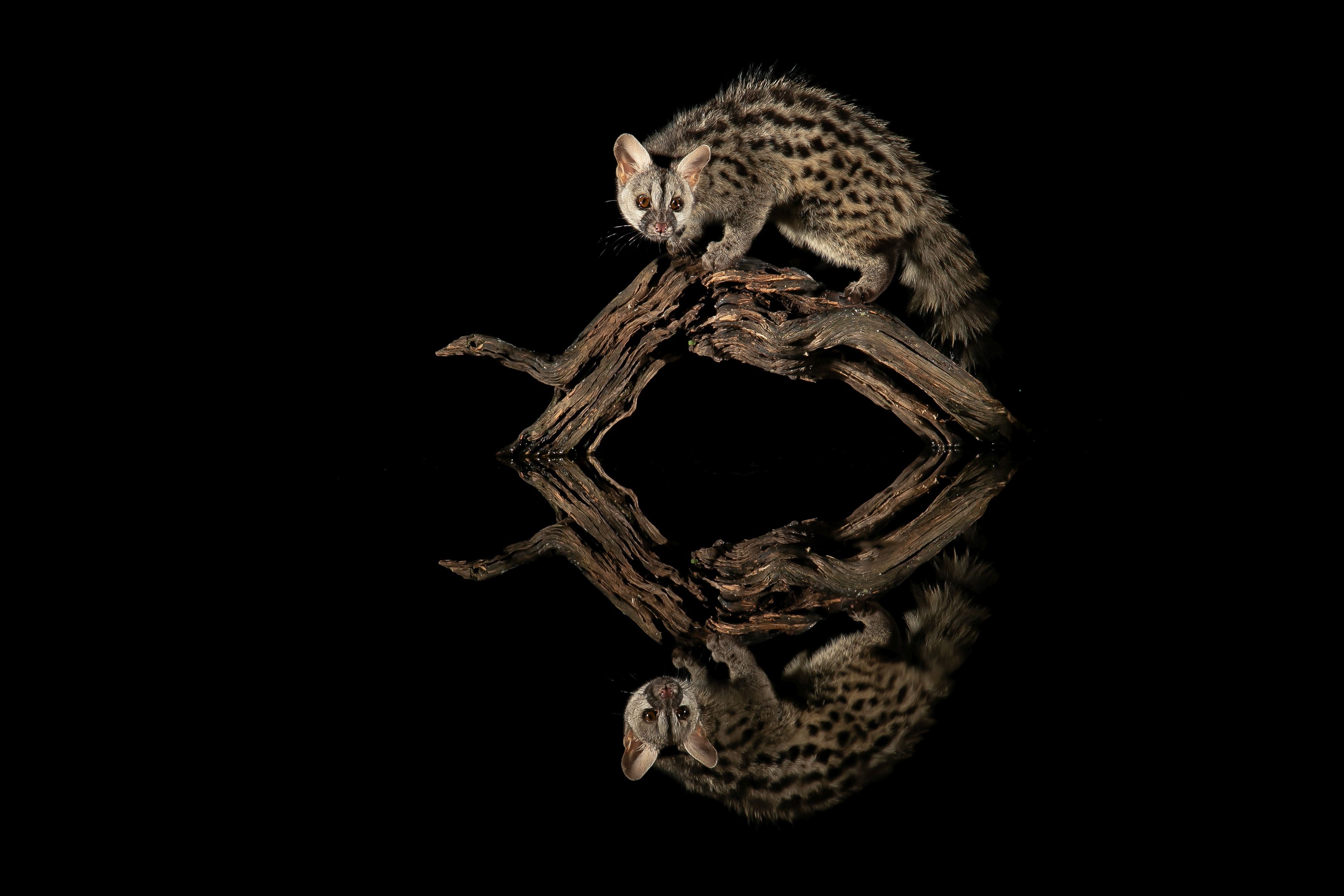 Algunas de las fotos de Merce Rodríguez por el mundo