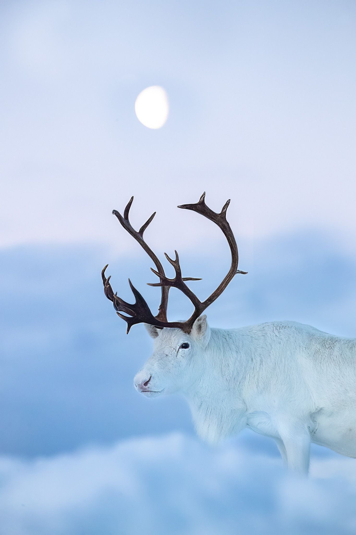 Algunas de las fotos de Merce Rodríguez por el mundo