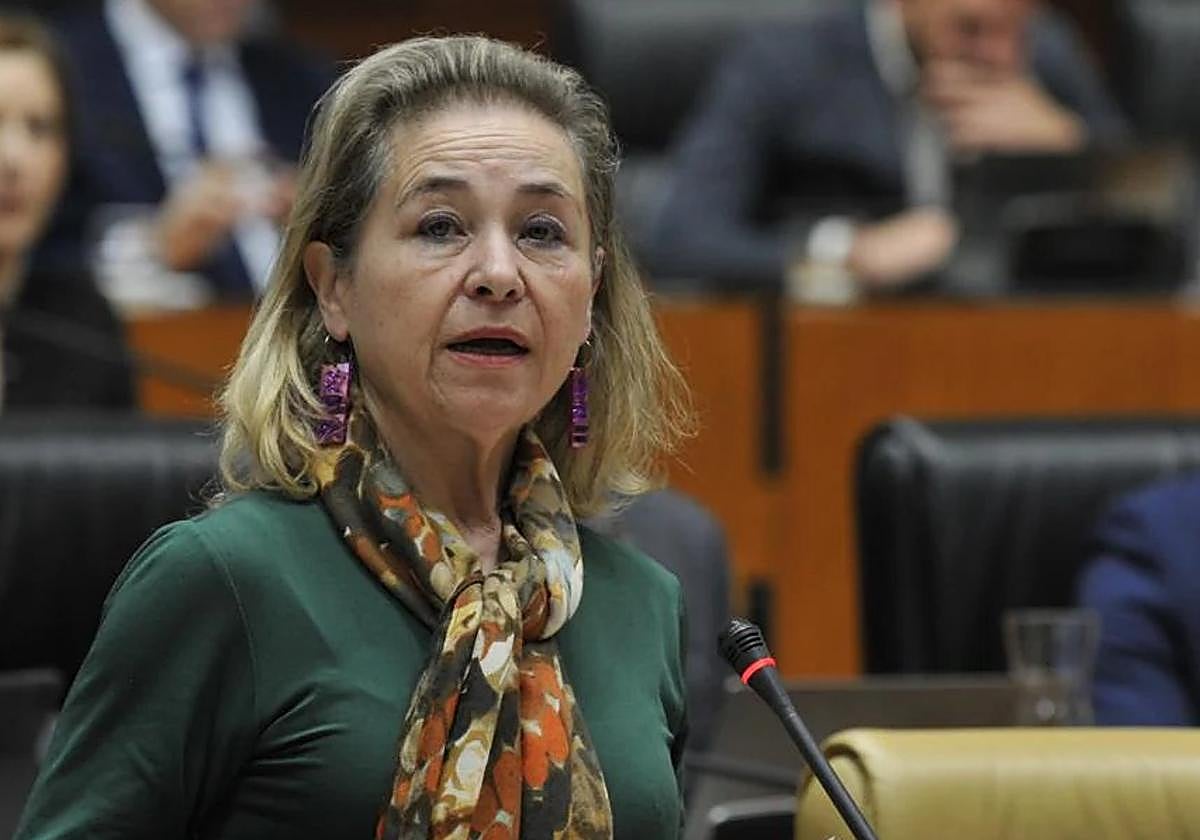 Mercedes Vaquera, consejera de Educación de la Junta.