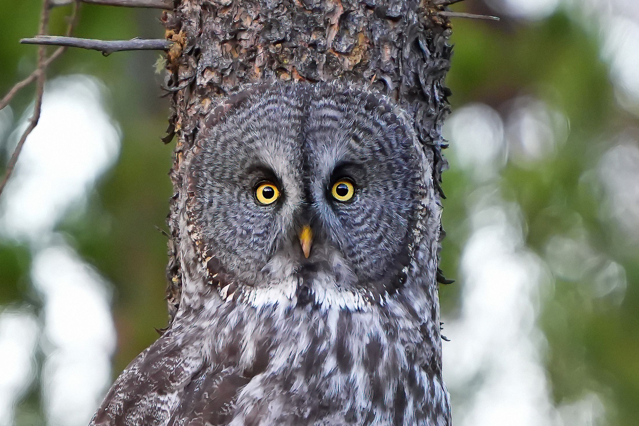 Algunas de las fotos de Merce Rodríguez por el mundo
