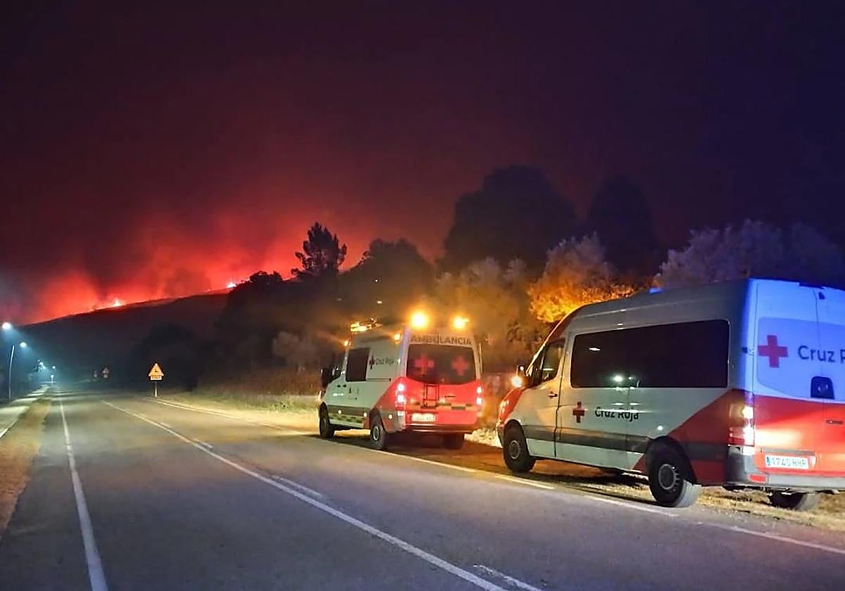 Incendio forestal en Cadalso, el pasado verano.