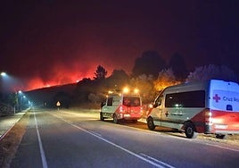 Incendio forestal en Cadalso, el pasado verano.