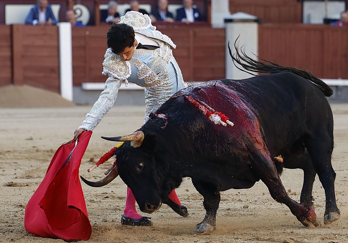 El diestro García Pulido con su primer toro en el primer festejo de la Feria de San Isidro en el que comparte cartel con los diestros Morante de la Puebla y Diego Urdiales, lidiando reses de Alcurrucén y El Cortijillo, este viernes en la Monumental de Las Ventas.
