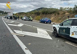 Fotos | Así ha sido la detención de los atracadores en la A-66