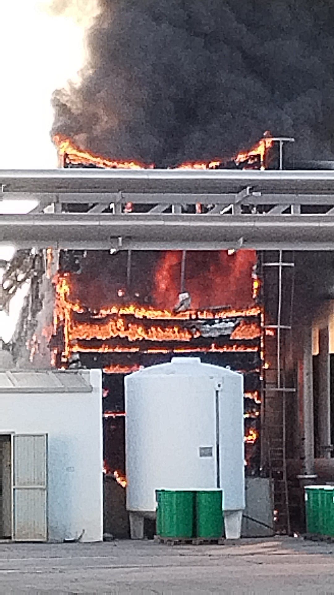 Imágenes del desarrollo del incendio en la fábrica de tomates Conesa de Miajadas