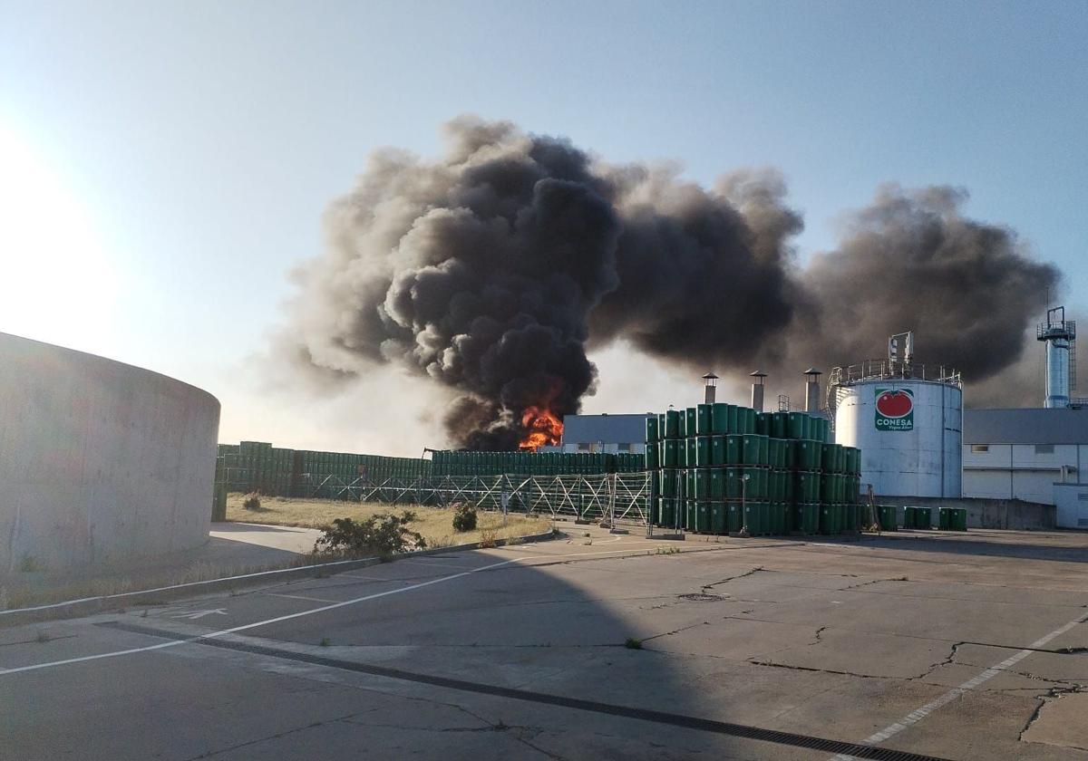 Imágenes del desarrollo del incendio en la fábrica de tomates Conesa de Miajadas