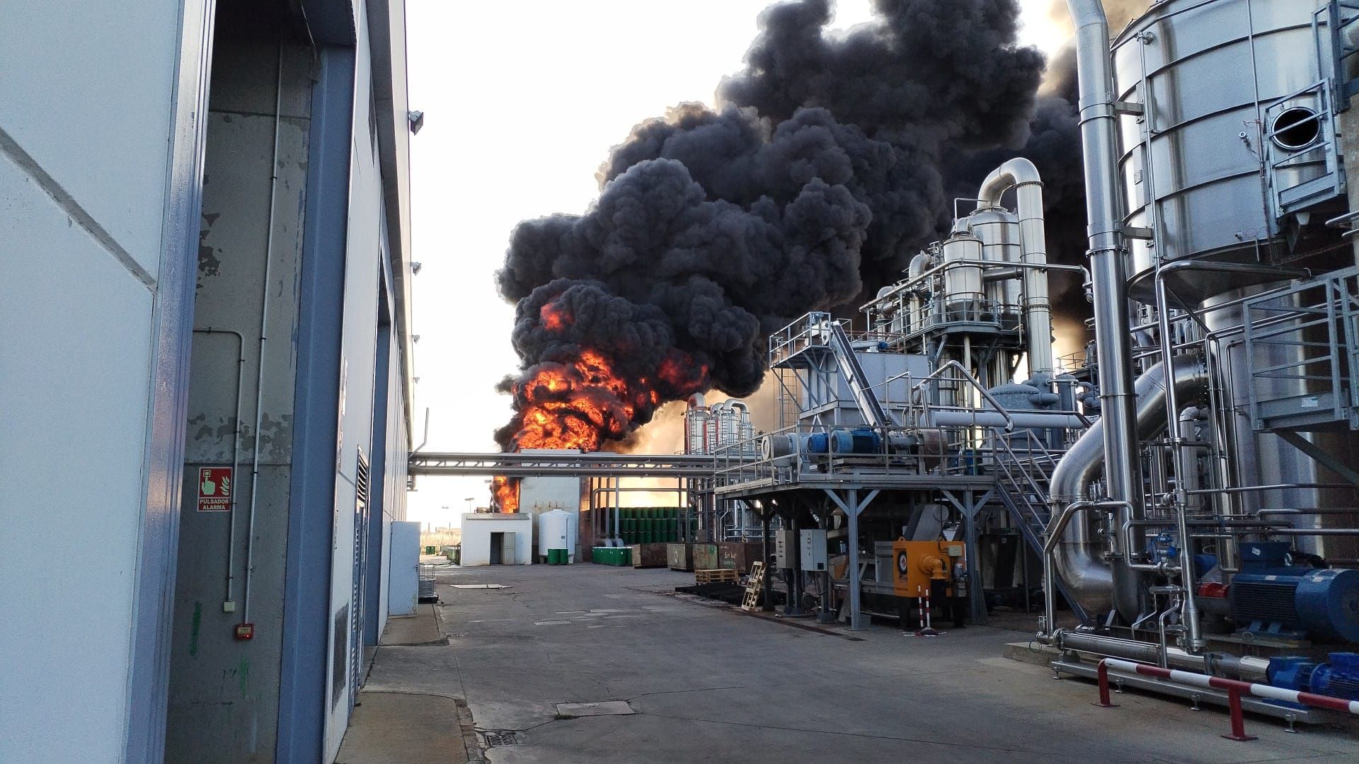 Imágenes del desarrollo del incendio en la fábrica de tomates Conesa de Miajadas