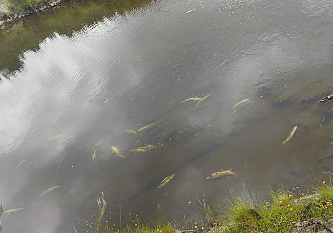 Los vecinos de Arrolobos quieren que se aclare lo sucedido.