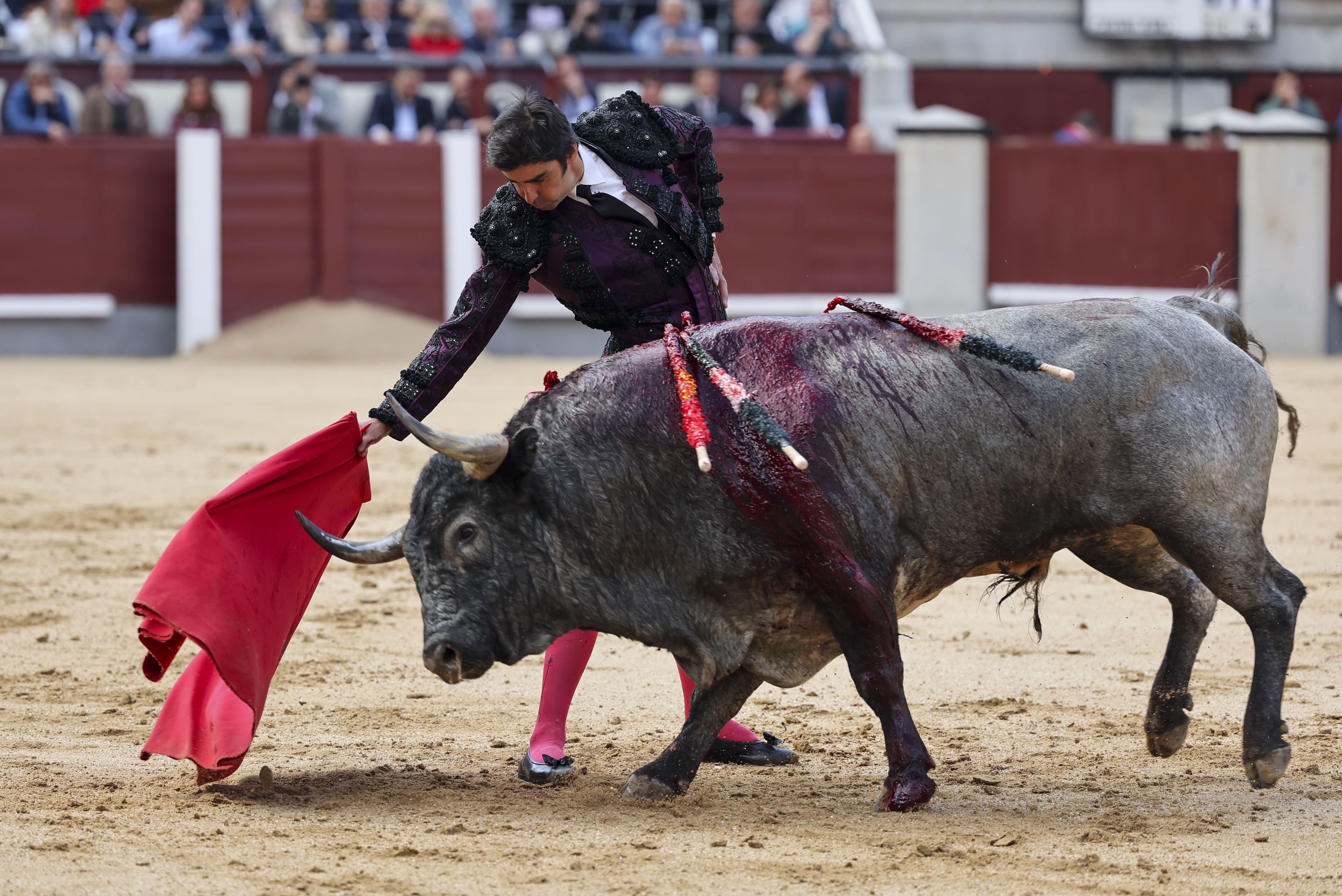 Cogida de Emilio de Justo en Las Ventas