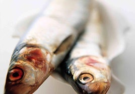 Alerta sanitaria por un pescado con anisakis