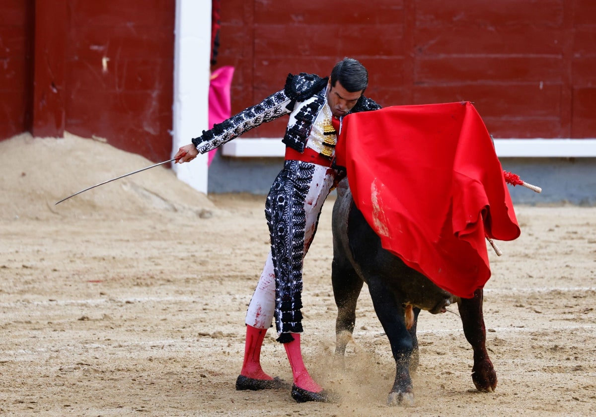 Toreros extremeños, gatos madrileños