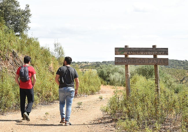 Punto de inicio del camino de Peñafalcón, por el que ahora está prohibido transitar.