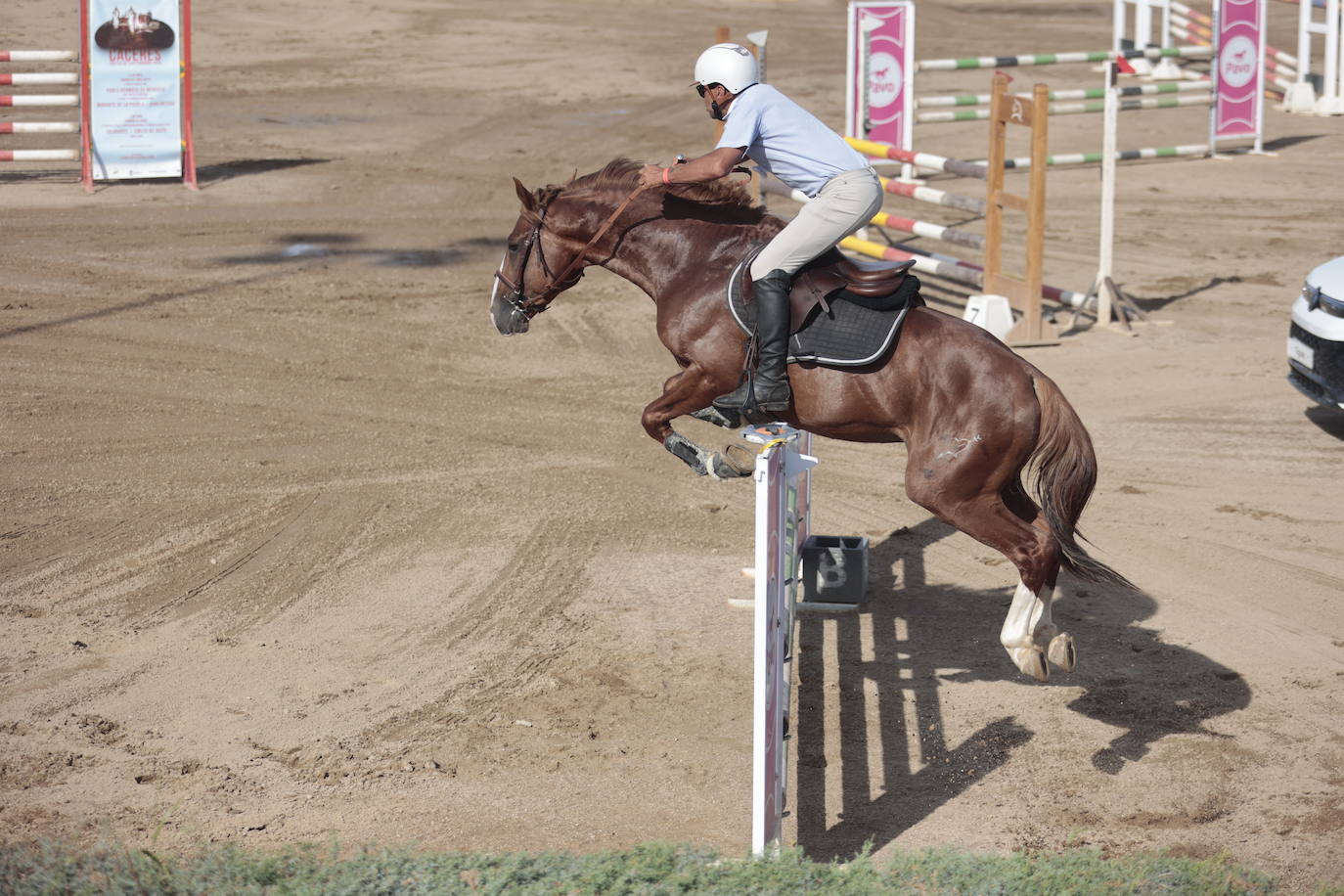 Concurso Nacional de Saltos en la preferia de Cáceres, en imágenes